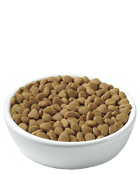 pro-plan-focus-adult-sensitive-skin-stomach-lamb-rice-kibble