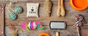 An assortment of items for kittens