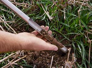 What is Regenerative Agriculture?
