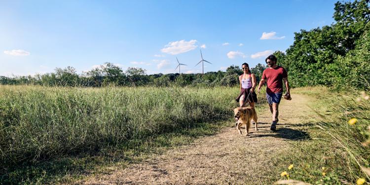 couple walking their dog