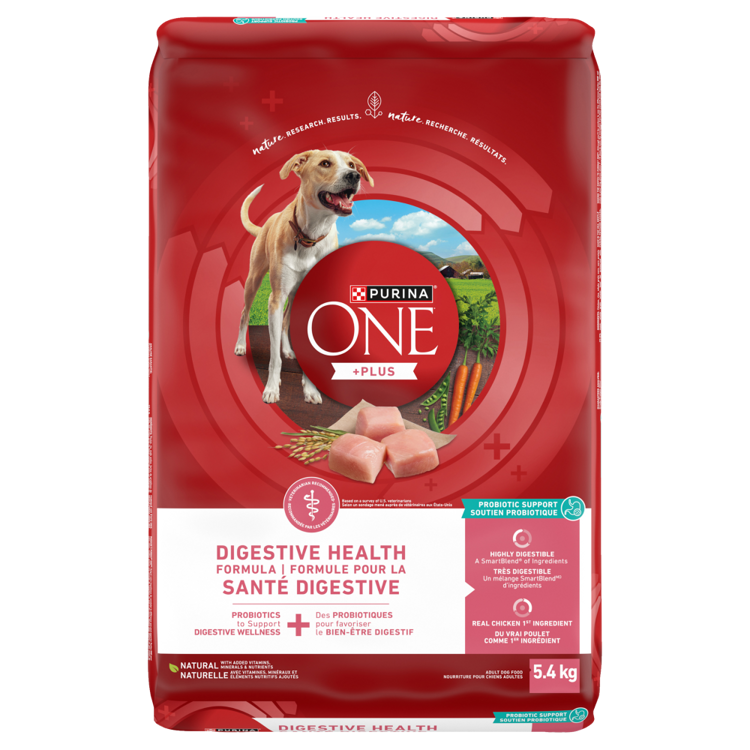 Purina® ONE® +Plus Digestive Health Formula Dry Dog Food