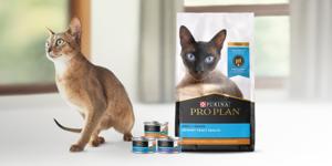 pro plan cat sitting next to a urinary tract product package