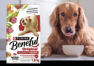 dog sitting next to a bag of beneful with real beef