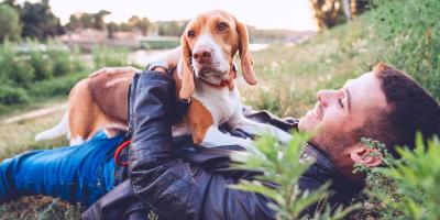dog lying on top of its owner at a park