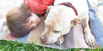 a boy and a dog lying down together