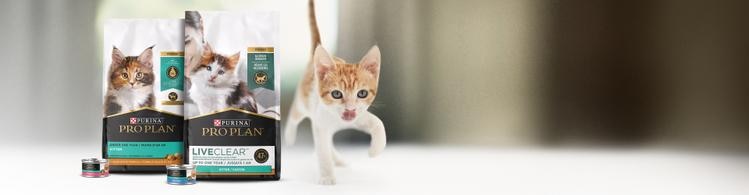 Pro Plan Kitten Food Hero Banner