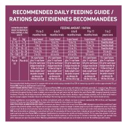 Daily Feeding Guide
