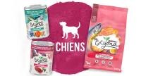 beyond produits pour chiens