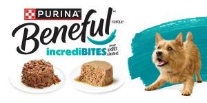 beneful incredibites pour petits chiens