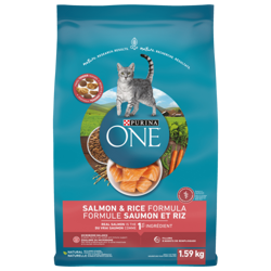 Purina ONE® Salmon & Rice Formula Adult Cat Food
