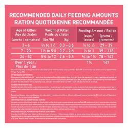 Adult Cat Feeding Instructions