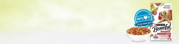 they love it! or your money back