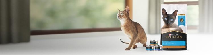 Pro Plan Urinary Tract Health Cat Food Hero Banner
