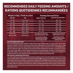 Daily Feeding Guide