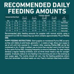 Daily Feeding Guide
