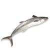 Mackerel