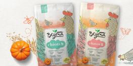 nourriture pour chatons and chiots Beyond