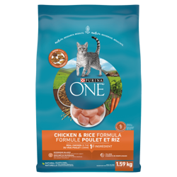 Purina ONE® Chicken & Rice Formula Dry Cat Food