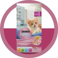 Kitten Chow Strong Start