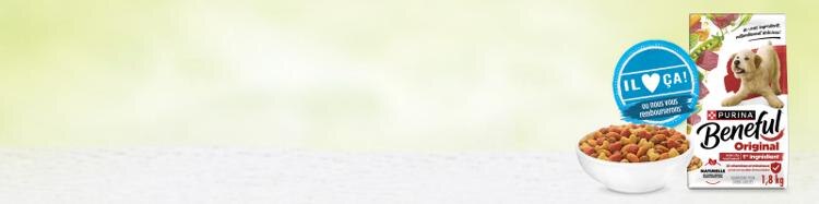 il adore ca! ou nous vous rembourserons