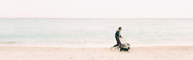 woman running on a beach with her two dogs