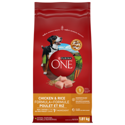Purina® ONE® Chicken & Rice Formula Dry Dog Food