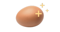 egg module