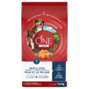 Purina® ONE® +Plus Skin & Coat Formula Dog Food