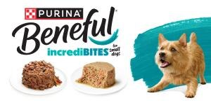 beneful incredibites, big taste for small dogs