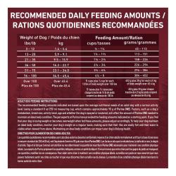 Daily Feeding Guide