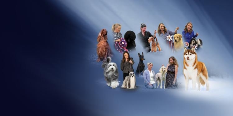 Canada’s Top 10 Show Dogs