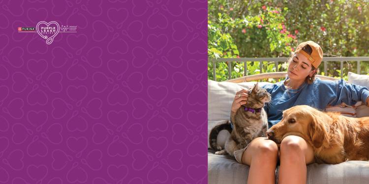 Domestic Abuse Survivors & Their Pets Need Us