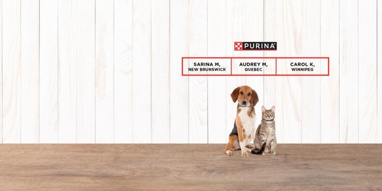 congratulations to Sarina M, Audrey M, and Carol K for winning our contest!