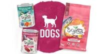 beyond dog product line
