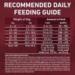 Daily Feeding Guide