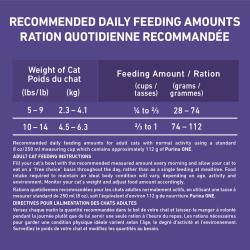 Adult Cat Feeding Instructions