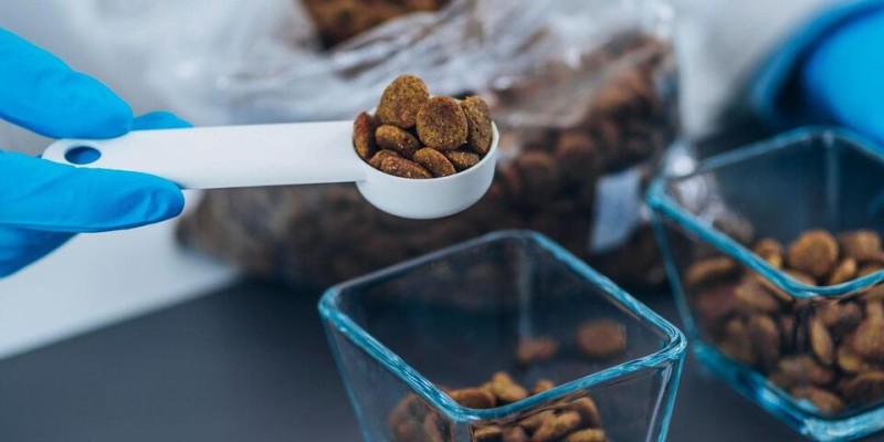 AAFCO Approved Dog Food Explained