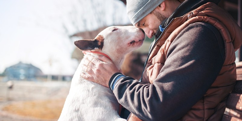 Les avantages d’avoir un chien