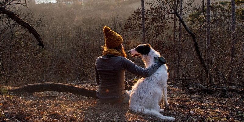 11 façons d'être un bon propriétaire d'animal