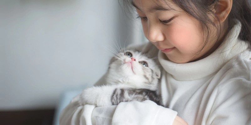 Quand passer de la nourriture pour chatons à de la nourriture pour chats adultes